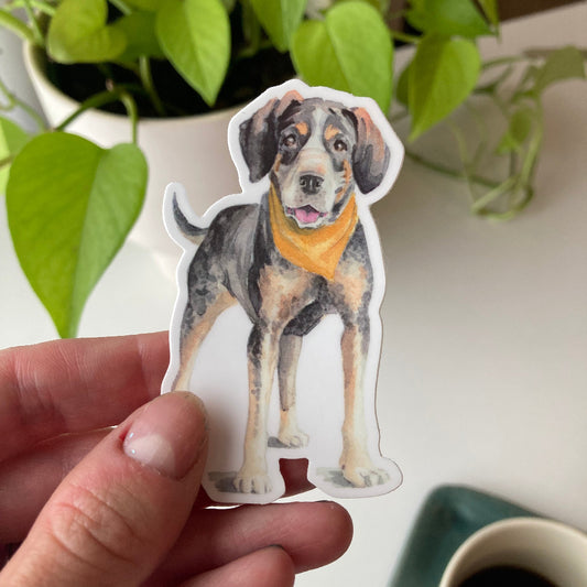 Coonhound Sticker